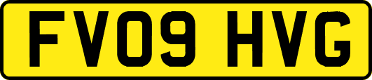 FV09HVG