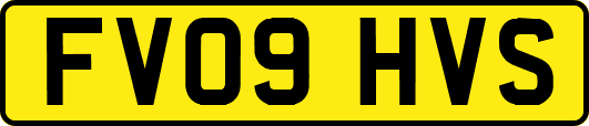 FV09HVS