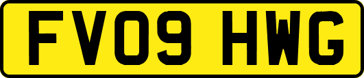 FV09HWG