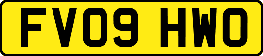 FV09HWO