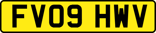 FV09HWV