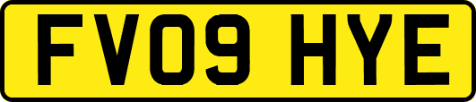 FV09HYE