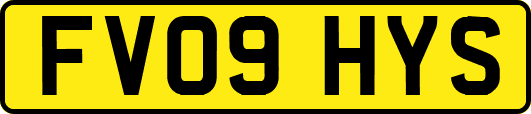 FV09HYS