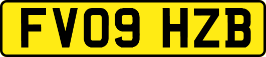 FV09HZB