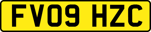 FV09HZC