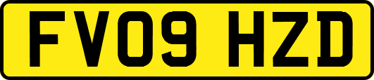 FV09HZD