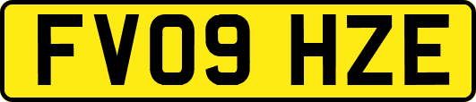 FV09HZE