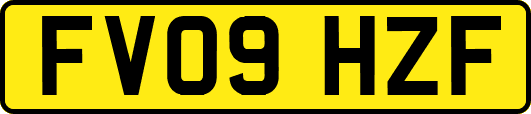 FV09HZF