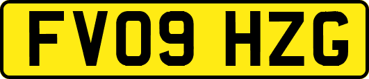 FV09HZG