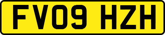 FV09HZH