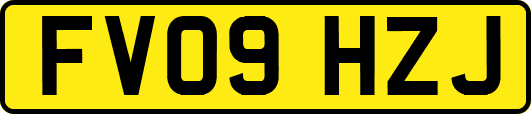 FV09HZJ