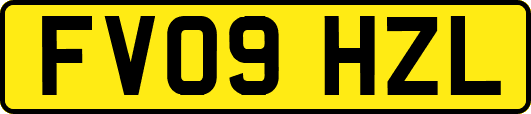 FV09HZL