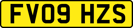 FV09HZS
