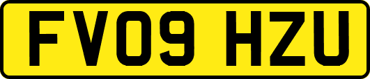 FV09HZU