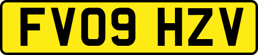 FV09HZV