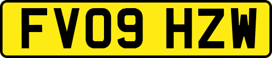FV09HZW