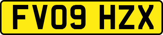 FV09HZX