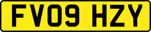 FV09HZY