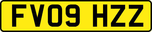 FV09HZZ