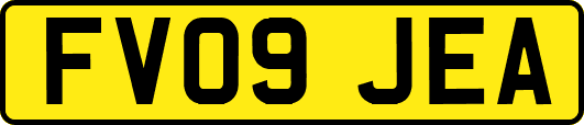 FV09JEA