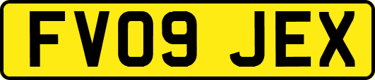 FV09JEX