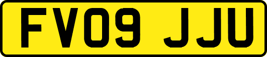 FV09JJU