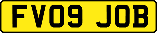 FV09JOB
