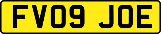 FV09JOE