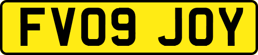 FV09JOY