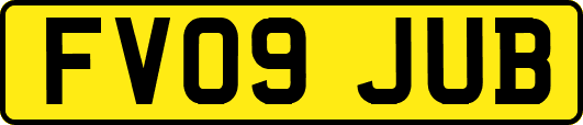 FV09JUB