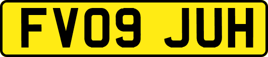FV09JUH