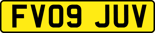 FV09JUV