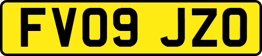 FV09JZO