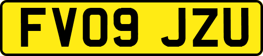 FV09JZU