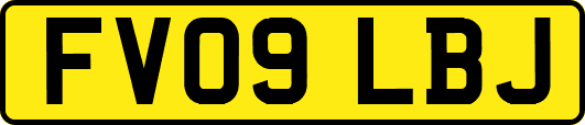 FV09LBJ