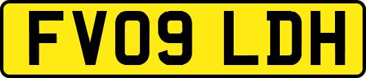 FV09LDH