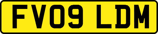 FV09LDM
