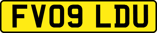 FV09LDU
