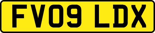 FV09LDX