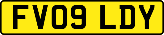 FV09LDY