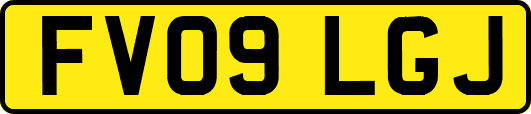FV09LGJ