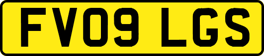 FV09LGS