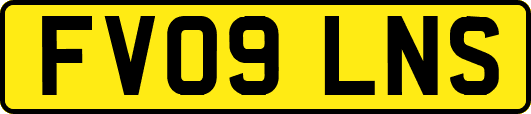 FV09LNS