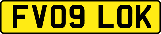 FV09LOK