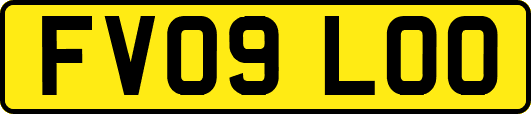 FV09LOO