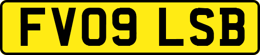 FV09LSB