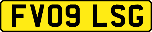 FV09LSG
