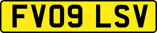 FV09LSV
