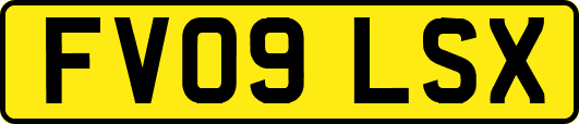 FV09LSX