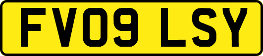 FV09LSY